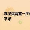 武漢買兩室一廳多少錢? 武漢兩室一廳二手房裝修多少錢一平米 