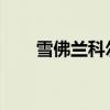 雪佛蘭科爾維特將獲得全輪驅(qū)動電動