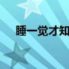 睡一覺(jué)才知真愛(ài) 歪果仁奇葩測(cè)試駕駛室