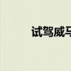 試駕威馬 給你15萬(wàn)元的純電體驗(yàn)