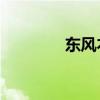 東風(fēng)本田全新思鉑睿Si評測