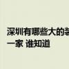 深圳有哪些大的裝修公司 最好的裝修公司在深圳寶安區(qū)是哪一家 誰知道 