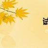 試駕體驗(yàn)沃爾沃S90