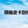 領(lǐng)略皮卡別樣魅力 慶鈴達(dá)咖場(chǎng)地越野體驗(yàn)