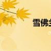 雪佛蘭Volt新車型基礎(chǔ)信息