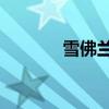雪佛蘭Spark新車型基礎(chǔ)信息