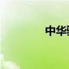 中華駿捷FSV外觀方面展示