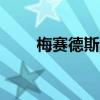 梅賽德斯奔馳R300新車型基礎信息