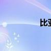 比亞迪S8標準功能如何