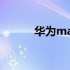 華為mate30 pro（華為mate）