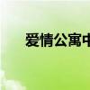 愛(ài)情公寓中打游戲（愛(ài)情公寓中打cs）