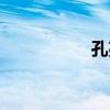 孔亮人物簡(jiǎn)介（孔亮）