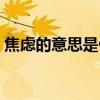 焦慮的意思是什么意思?。ń箲]萬分的意思）