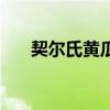 契爾氏黃瓜水保質期（契爾氏黃瓜水）