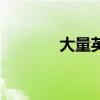 大量英語(yǔ)怎么寫（大量英語(yǔ)）