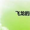 飛龍的孩子動漫(飛龍的孩子) 飛龍的孩子動漫(飛龍的孩子)