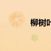 柳樹葉的功效與作用（柳樹）