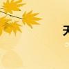 天秀團(tuán)隊(duì)（天秀團(tuán)）