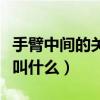 手臂中間的關(guān)節(jié)叫什么名字（手臂中間的關(guān)節(jié)叫什么）