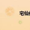 宅仙傳 小說（宅女追仙傳）