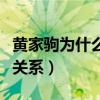 黃家駒為什么救不了（黃貫中和黃家駒是什么關(guān)系）