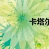 卡塔爾主權(quán)基金（主權(quán)基金）