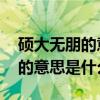 碩大無朋的意思是什么 標準答案（碩大無朋的意思是什么）