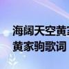 海闊天空黃家駒歌詞表達(dá)的意思（海闊天空 黃家駒歌詞）