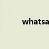 whatsapp翻譯插件(翻譯插件) whatsapp翻譯插件(翻譯插件)