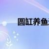 圓缸養(yǎng)魚過濾（圓魚缸怎么加過濾）