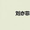 劉亦菲新活動（劉亦菲新專輯）