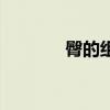 臀的組詞有（臀組詞有哪些）