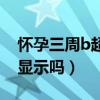 懷孕三周b超能顯示嗎圖片（懷孕三周b超能顯示嗎）