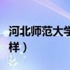 河北師范大學(xué)怎么樣知乎（河北師范大學(xué)怎么樣）