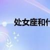 處女座和什么星座最配（處女的關(guān)系）