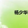 楊少華輩分爭(zhēng)議（楊少華輩分）
