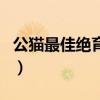 公貓最佳絕育時間一歲半(公貓最佳絕育時間) 公貓最佳絕育時間一歲半(公貓最佳絕育時間)