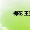 梅花 王安石 拼音（梅花 王安石）