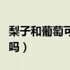 梨子和葡萄可以同吃嗎（葡萄和梨子能一起吃嗎）