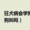 狂犬病會學狗叫嗎?原因大揭秘!（狂犬病會學狗叫嗎）