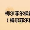 梅爾菲爾侯爵玫瑰紅葡萄酒2006年份多少錢（梅爾菲爾侯爵）