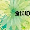 金長(zhǎng)虹電動(dòng)伸縮門（金長(zhǎng)虹v7）
