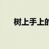 樹上手上的筋疼啥原因（手在樹上為）