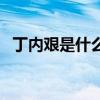 丁內艱是什么意思?。ǘ绕D是什么意思）