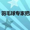 羽毛球?qū)＜野衙}殺球（羽毛球教學專家把脈）