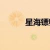 星海鏢師吧 258（星海鏢師吧）
