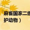 麻雀國家二級保護(hù)動(dòng)物判刑（麻雀國家二級保護(hù)動(dòng)物）