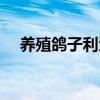 養(yǎng)殖鴿子利潤價(jià)格表（養(yǎng)殖鴿子的利潤）