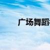 廣場舞蹈初學視頻大全（廣場舞蹈）