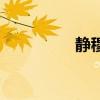 靜穆哪個(gè)字錯(cuò)了（靜穆）